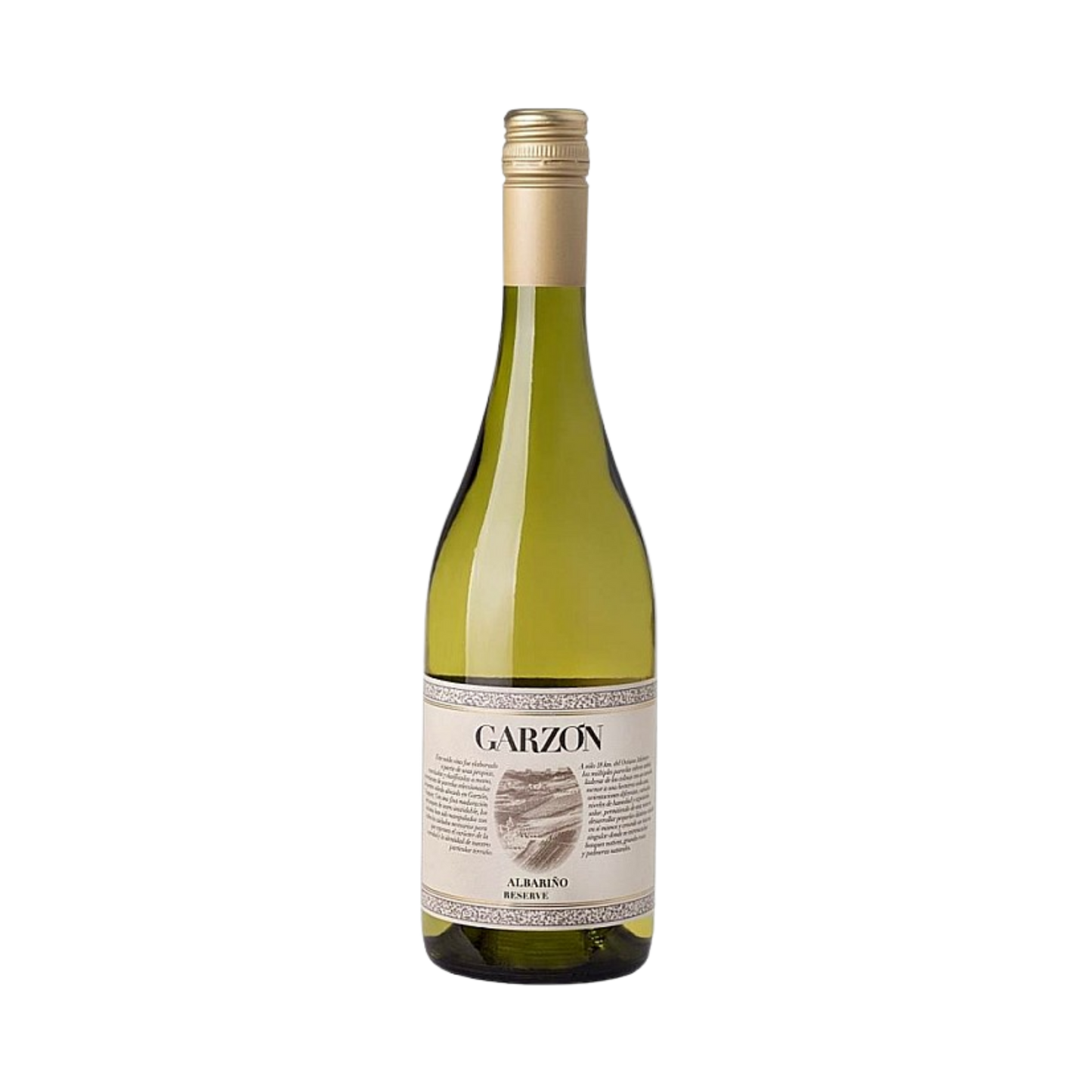 Bodega Garzon - Reserva Albarino