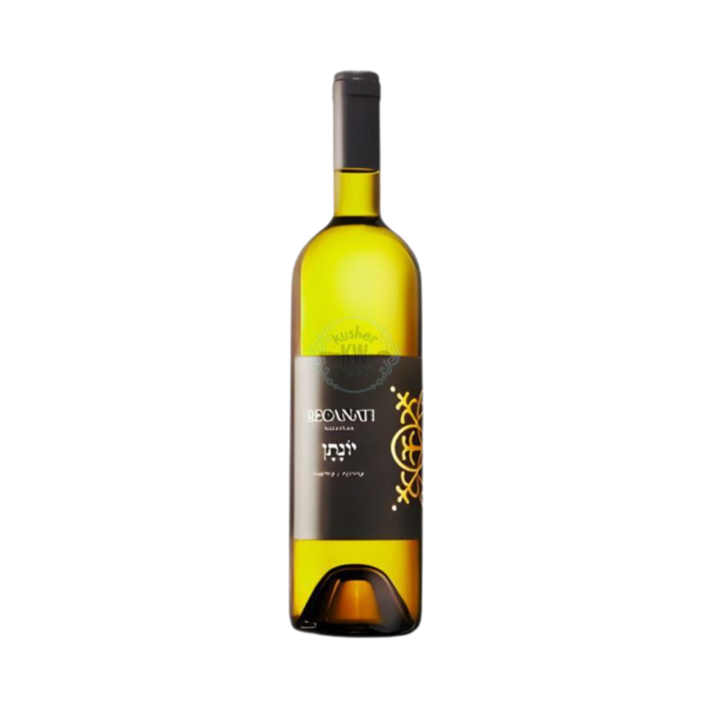 Recanati - Jonathan White 2024