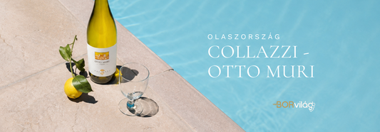 Collazzi Otto Muri – A Fiano új arca Toszkánából