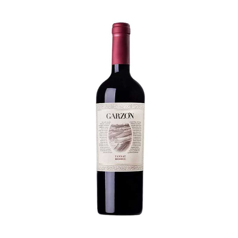 Bodega Garzon - Reserva Tannat