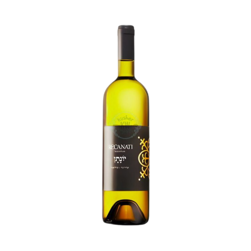 Recanati - Jonathan White 2024