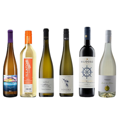 Terroir borválogatás - Balaton