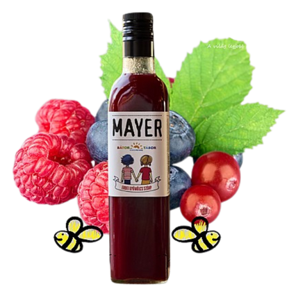 Mayer - Bátor Tábor Forest fruit syrup