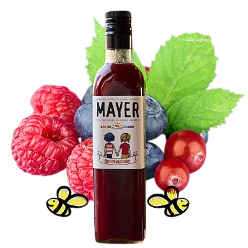 Mayer - Bátor Tábor Forest fruit syrup